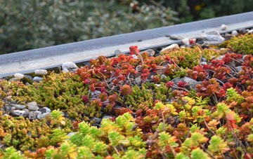 the cost of Holymoorside green roof installation