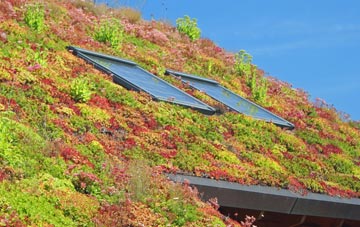 Holymoorside living roof systems